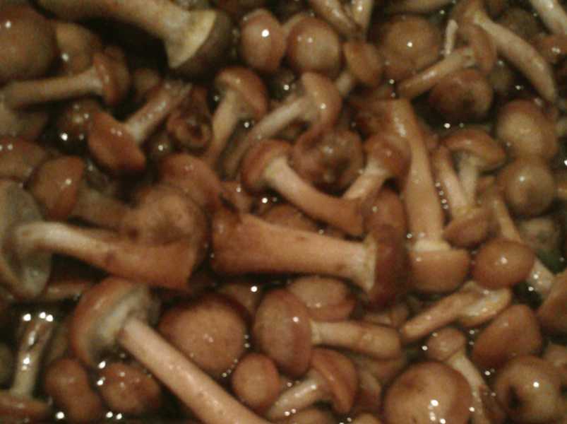 окрошка с маринованными грибами на квасе.