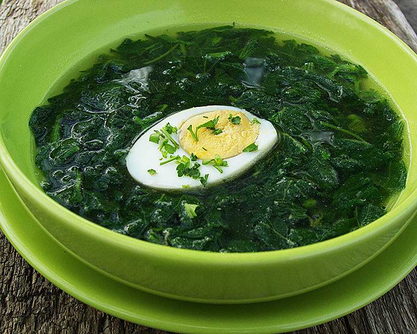 Щи из щавеля с яйцом и курицей рецепт с фото пошагово с фото