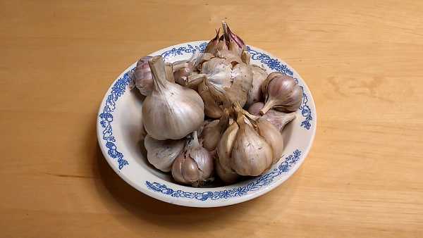 Чеснок очищаем от шелухи, промываем водой и пропускаем через мясорубку.