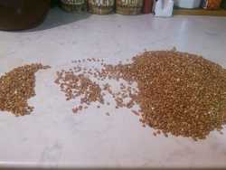 перебираем гречку для каши гречневой с куриной грудкой