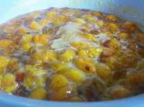 образовалась пена на абрикосовом варенье при второй варке