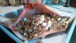 фаршируем карпа гречкой, яйцом и луком