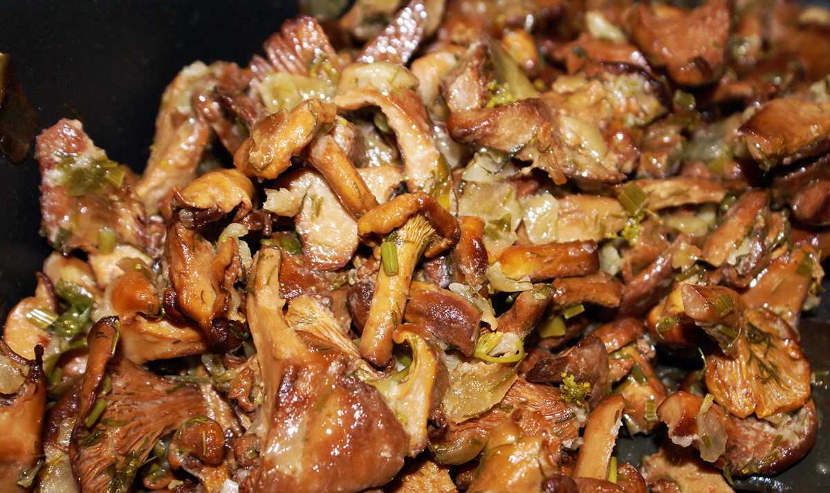 Жареные грибы с луком – кулинарный рецепт