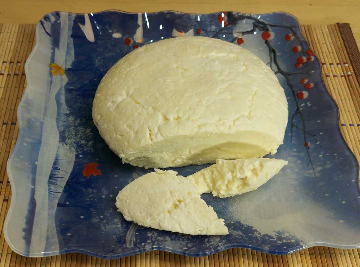 адыгейский сыр плавится в духовке на пицце ли фото 78