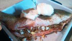 выкладываем на карпа майонез