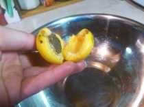 отделяем косточки у абрикосов