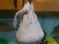 узелок подвешен на дверцу