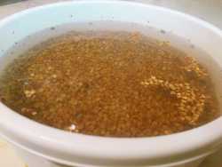 промываем гречку для каши гречневой с куриной грудкой