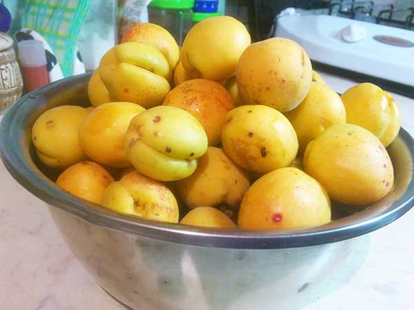 свежие абрикосы