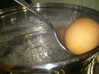 закладываем яйцо
